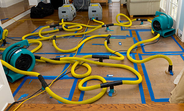 Professional Burst Pipe Water Damage technician working in Preston, ID